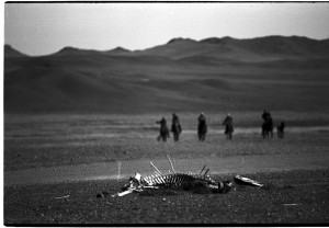 Life for herder on the steppe is hard enough without the toxic pollution and land-grabbing of foreign mining corporations. Photo c. keith harmon snow, 2008.
