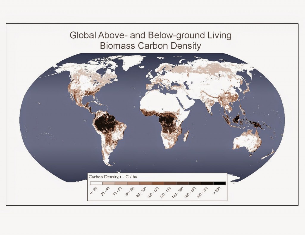 Living biomass carbon density
