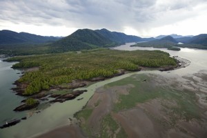 Photo from Skeena River First Nations