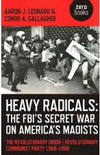 heavy radicals_DV